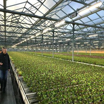 Καλή τιμή. Θερμοκήπιο 2.0mm ηλιακής ενέργειας γεωργίας αντίστασης διάβρωσης πάχος 2.5mm σε απευθείας σύνδεση