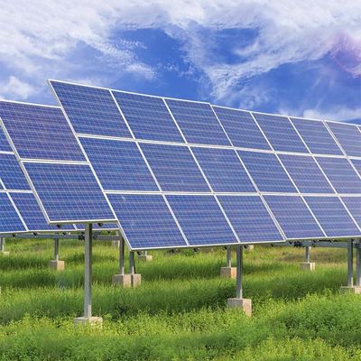 Καλή τιμή. Τοποθετημένο έδαφος ανοξείδωτο PV που βασανίζει το σύστημα σε απευθείας σύνδεση