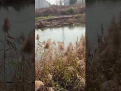 3 ιντσών συνεχής ρεύματος βυθιστέα βαθιά πηγή αντλία νερού με MPPT ελεγκτή